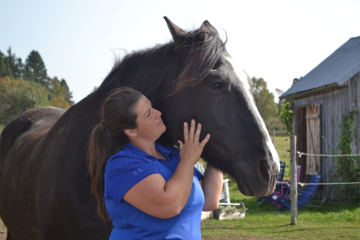 SOPHIE LAVOIe ET UN CHEVAL NOIR