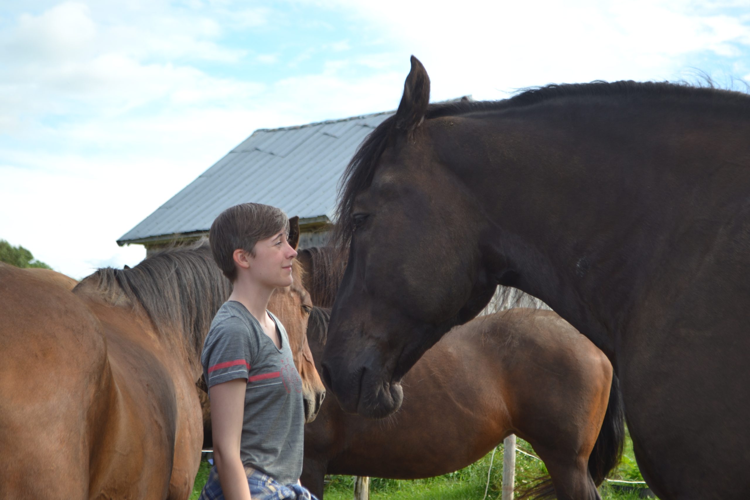 une jeune femme regarde de proche son cheval dans les yeux
