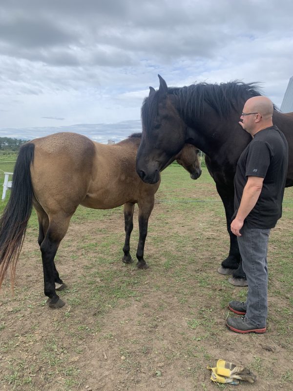 bénévole impliqué à Lavoie du cheval