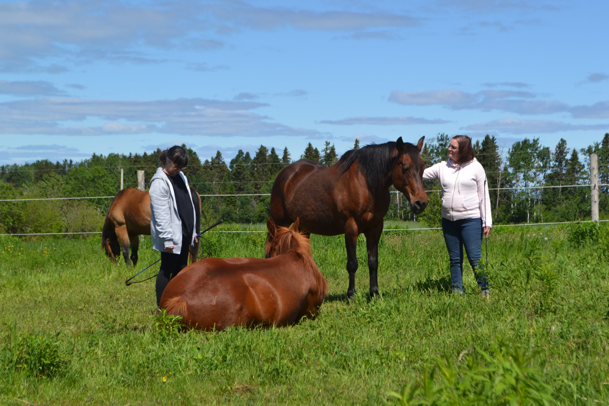 Atelier découverte de 2h – Image 3