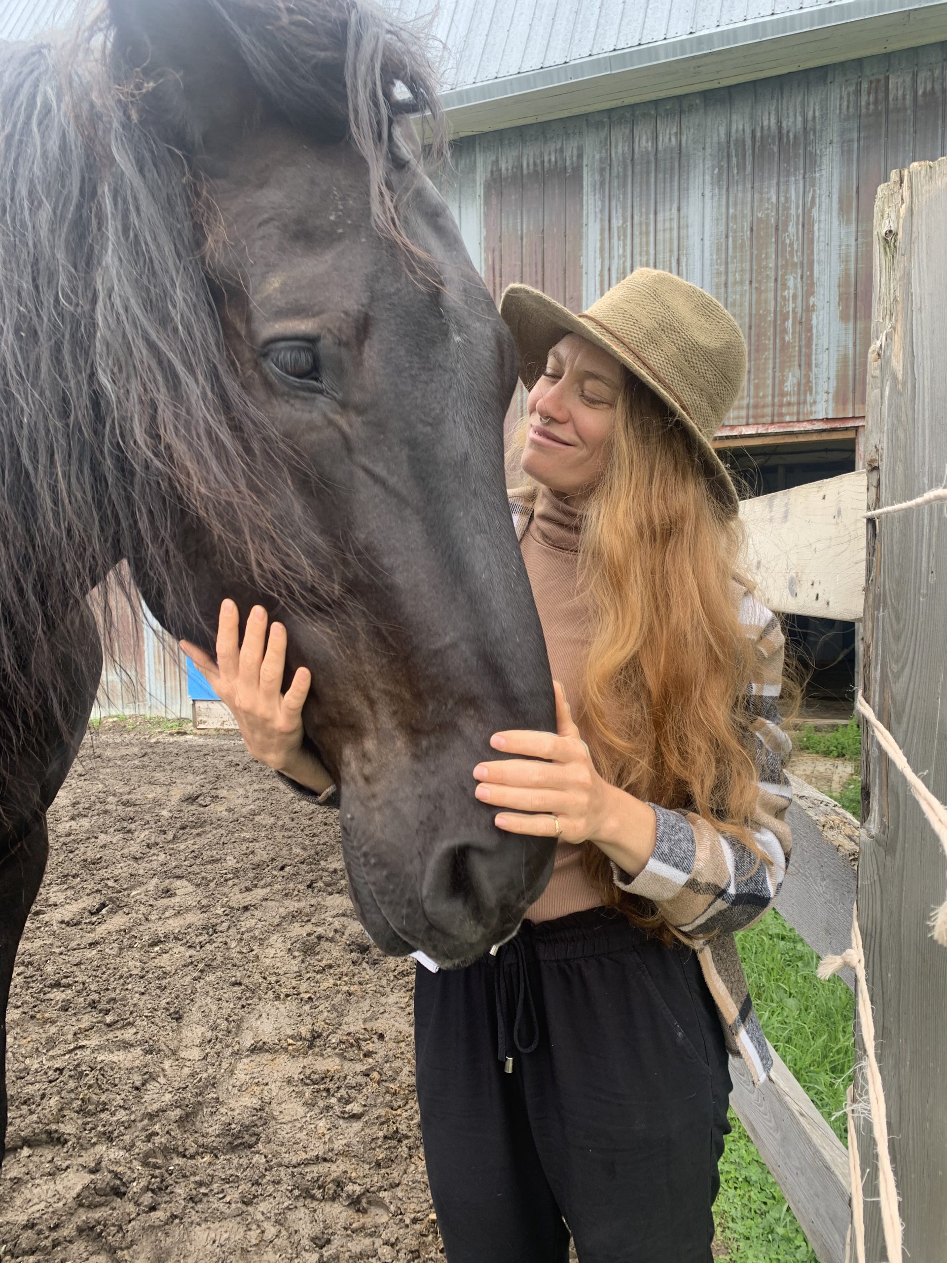 Parcours de croissance avec les chevaux