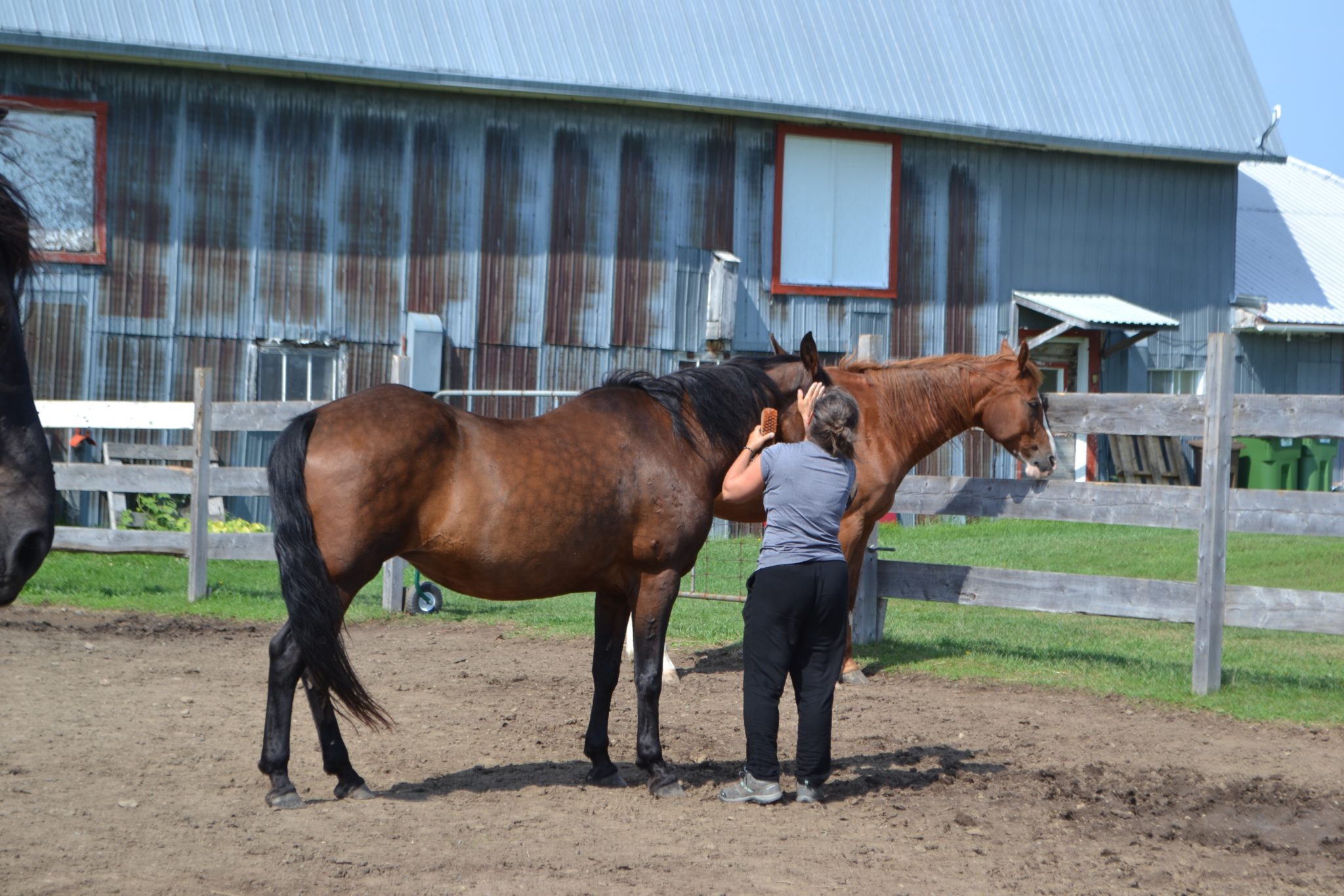 Cheminez à pas de cheval vers soi