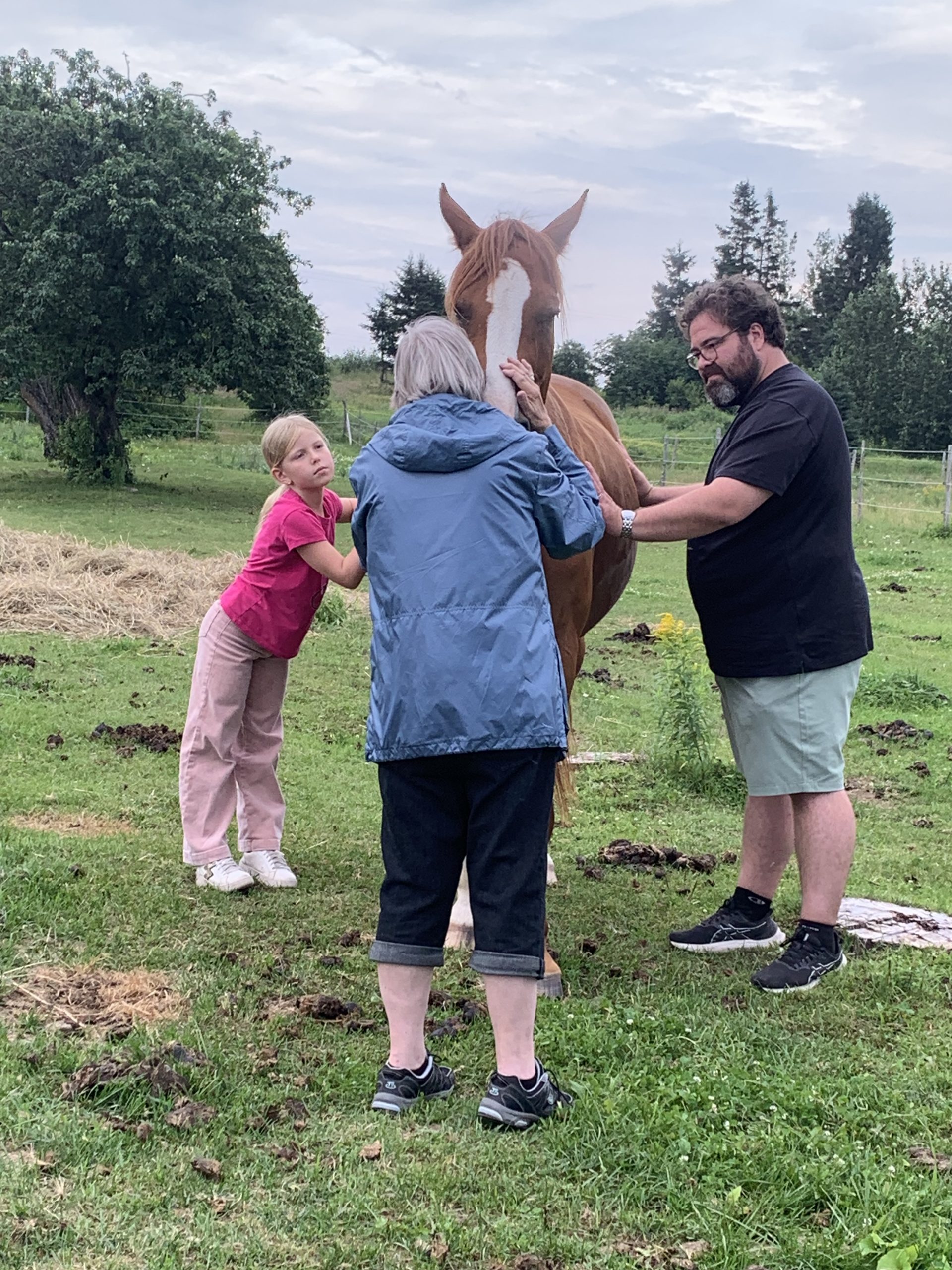 Atelier découverte en famille à Lavoie du Cheval