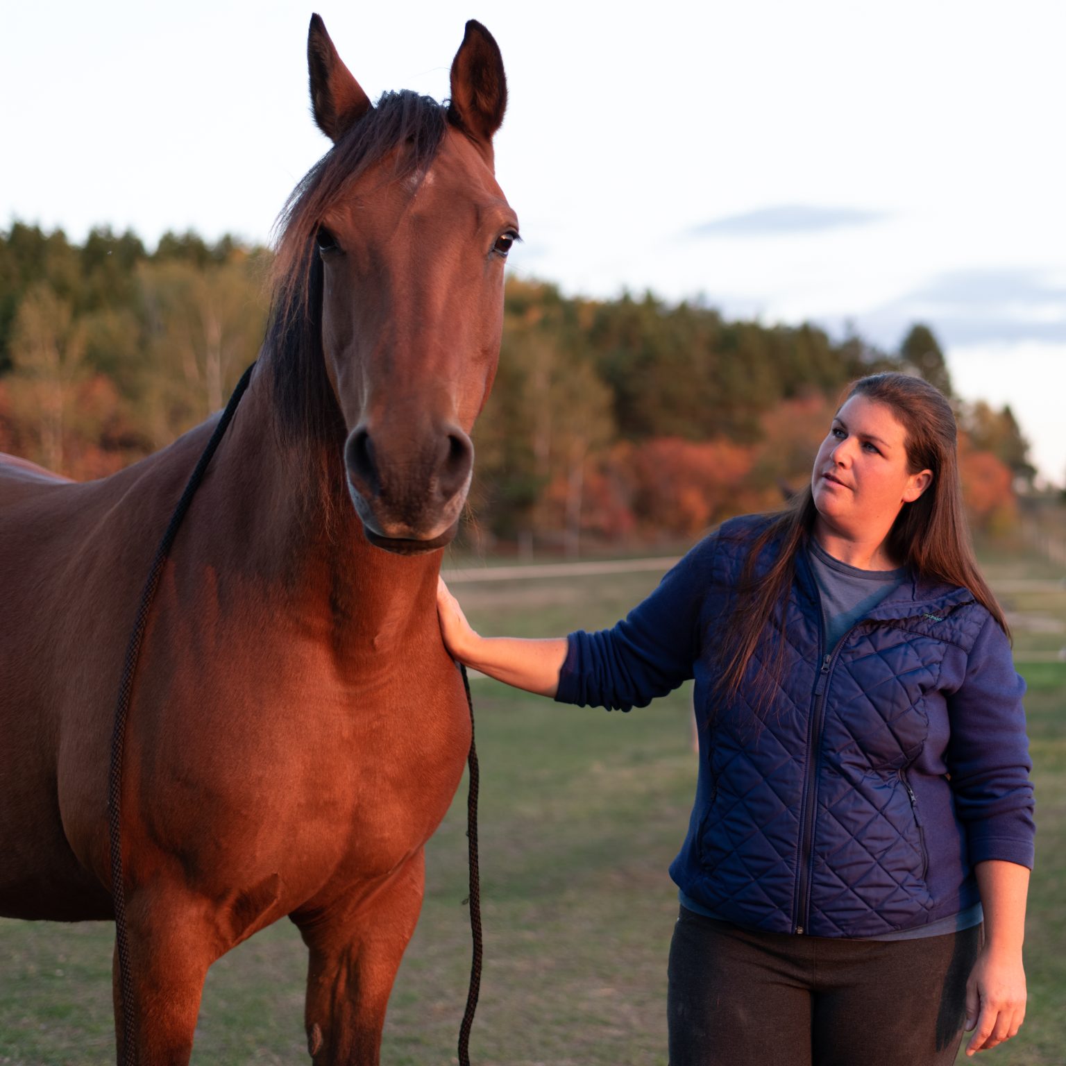 Sophie Lavoie fournisseur IVAC avec les chevaux