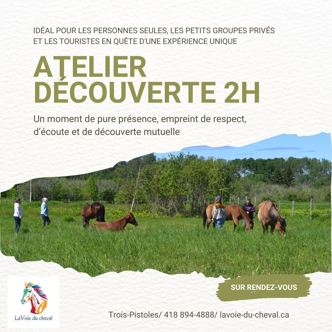 Atelier découverte de 2h