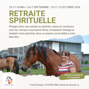 Parcours en groupe de 2 à 3 jours