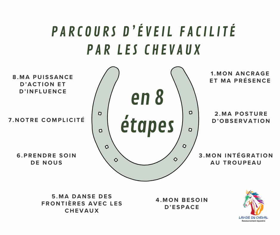 Les 8 étapes du parcours avec les chevaux à Lavoie du Cheval